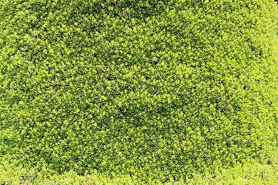 生死一线×动作 RPG “TRIBE NINE” 今日开放事前下载